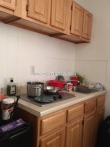 Back Bay Studio 1 Bath Boston - $2,145