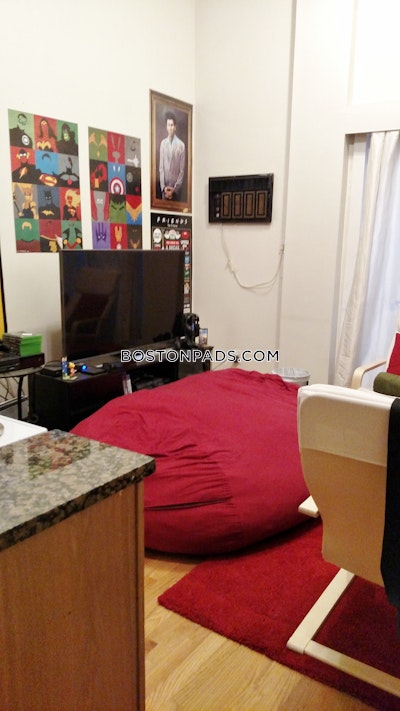 Northeastern/symphony Apartment for rent 1 Bedroom 1 Bath Boston - $2,600