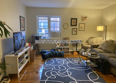 Brighton 2 Beds 1 Bath Boston - $2,800