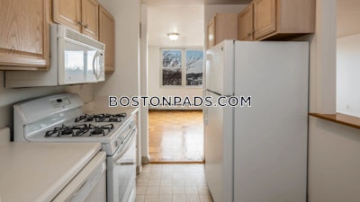 Cambridge 1 Bed 1 Bath  Mt. Auburn/brattle/ Fresh Pond - $2,785