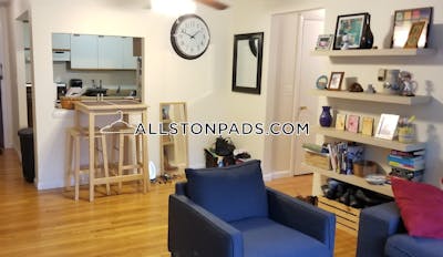 Allston Apartment for rent 1 Bedroom 1 Bath Boston - $2,450