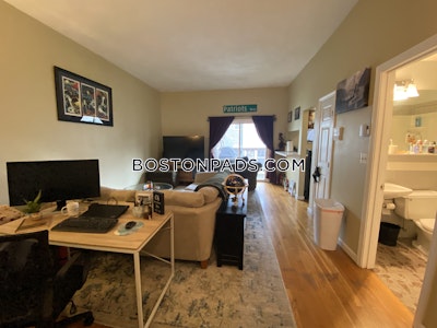 South Boston Apartment for rent 1 Bedroom 1 Bath Boston - $2,500