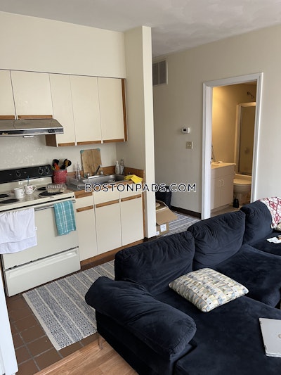 Downtown Apartment for rent 1 Bedroom 1 Bath Boston - $2,600