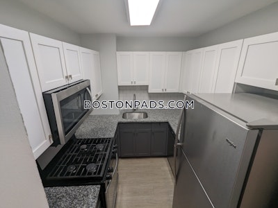 Mission Hill Apartment for rent 3 Bedrooms 2 Baths Boston - $8,095 No Fee