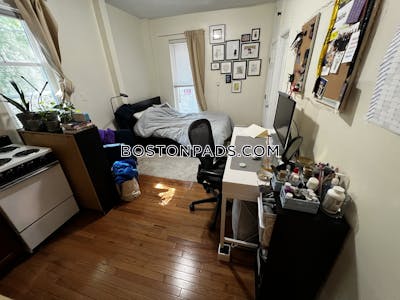 Jamaica Plain Apartment for rent Studio 1 Bath Boston - $1,795